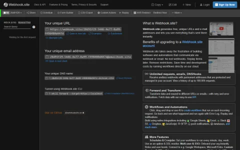 Webhook.site